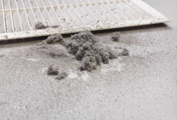 Best Affordable Duct Cleaning Services  in Burnham, PA